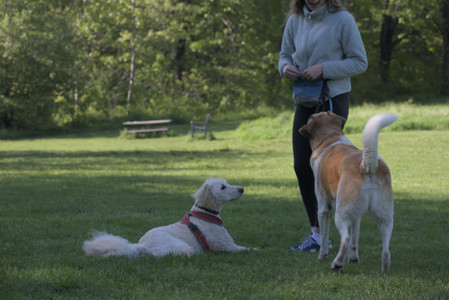 20250516_Dog Park__DSC0099_.jpg