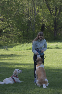 20250516_Dog Park__DSC0101_.jpg