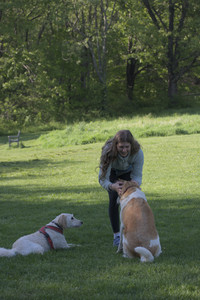 20250516_Dog Park__DSC0103_.jpg