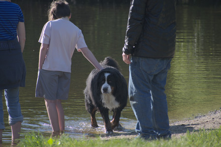 20250516_Dog Park__DSC0138_.jpg