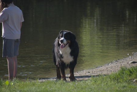 20250516_Dog Park__DSC0140_.jpg