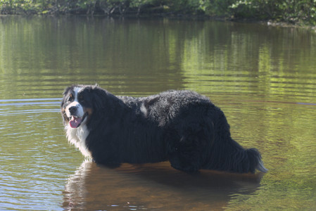 20250516_Dog Park__DSC0141_.jpg