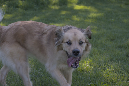 20250516_Dog Park__DSC0146_.jpg