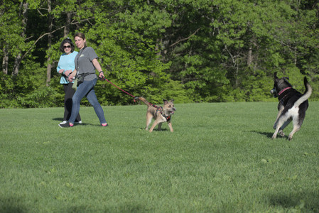20250516_Dog Park__DSC0164_.jpg