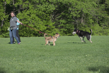 20250516_Dog Park__DSC0165_.jpg