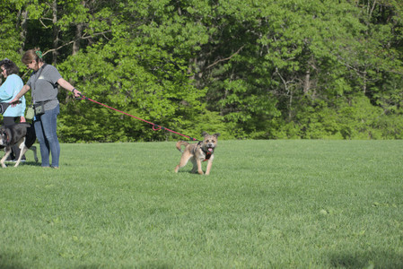 20250516_Dog Park__DSC0168_.jpg