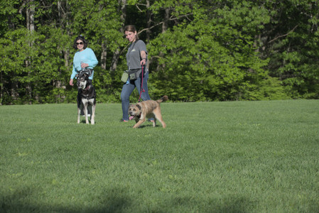 20250516_Dog Park__DSC0171_.jpg