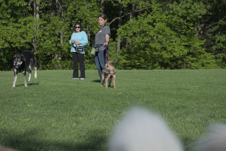 20250516_Dog Park__DSC0172_.jpg