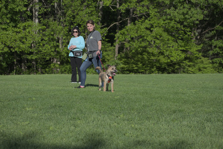 20250516_Dog Park__DSC0174_.jpg