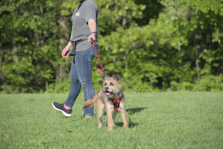 20250516_Dog Park__DSC0181_.jpg