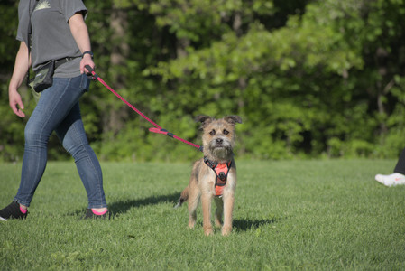 20250516_Dog Park__DSC0183_.jpg