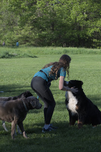 20250516_Dog Park__DSC0194_.jpg