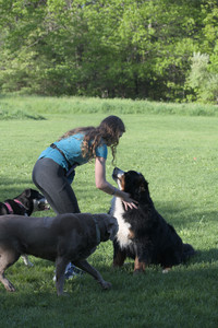 20250516_Dog Park__DSC0196_.jpg