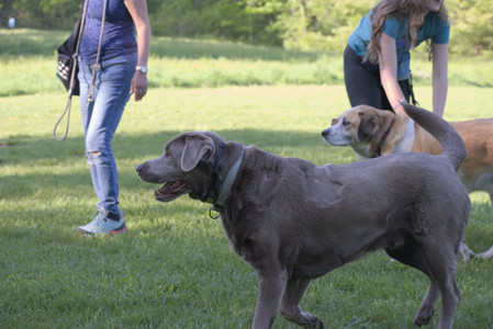 20250516_Dog Park__DSC0198_.jpg