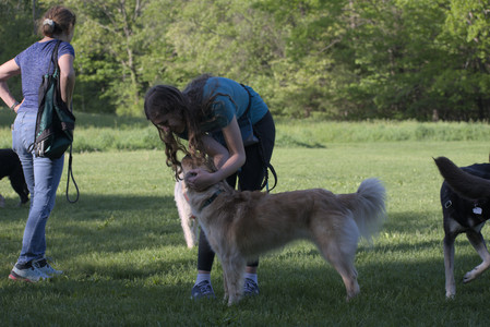 20250516_Dog Park__DSC0201_.jpg