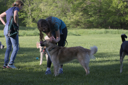 20250516_Dog Park__DSC0202_.jpg