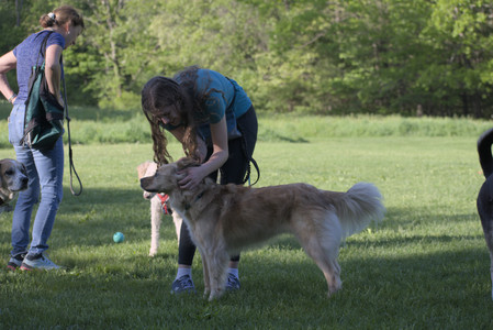 20250516_Dog Park__DSC0204_.jpg