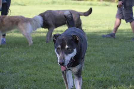 20250516_Dog Park__DSC0207_.jpg