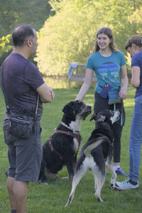 20250516_Dog Park__DSC0231_.jpg