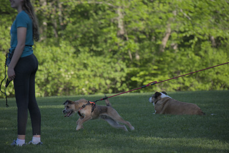 20250516_Dog Park__DSC0239_.jpg