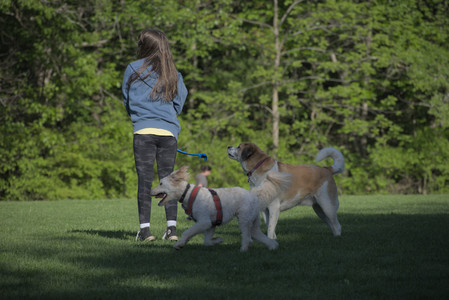 20250516_Dog Park__DSC0251_.jpg
