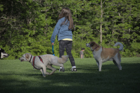 20250516_Dog Park__DSC0252_.jpg