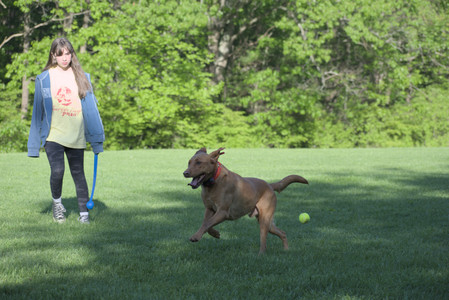 20250516_Dog Park__DSC0262_.jpg