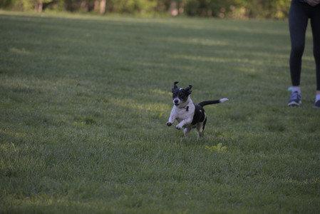 20250516_Dog Park__DSC0266_.jpg