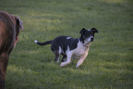 20250516_Dog Park__DSC0274_.jpg