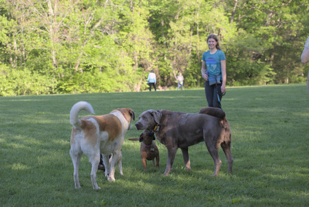 20250516_Dog Park__DSC0277_.jpg