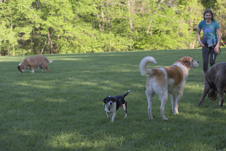 20250516_Dog Park__DSC0278_.jpg
