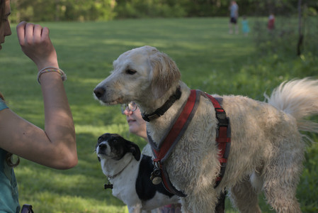 20250516_Dog Park__DSC0372_.jpg