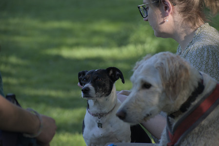 20250516_Dog Park__DSC0378_.jpg