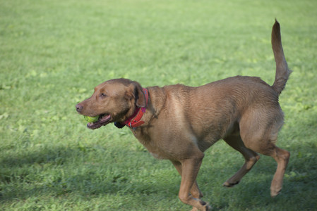 20250516_Dog Park__DSC0391_.jpg