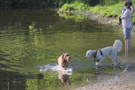 20250516_Dog Park__DSC0403_.jpg