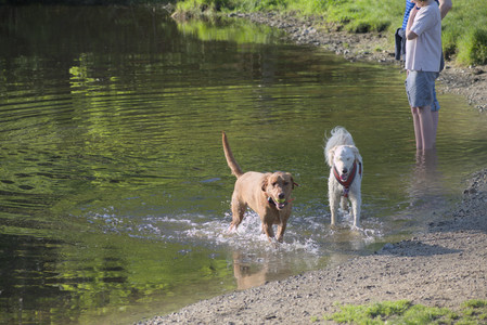 20250516_Dog Park__DSC0407_.jpg