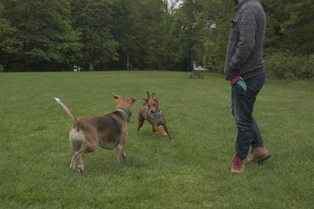 20250520_Dog park__DSC0095_.jpg