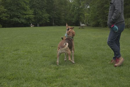 20250520_Dog park__DSC0096_.jpg