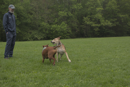 20250520_Dog park__DSC0110_.jpg