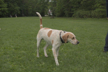 20250520_Dog park__DSC0129_.jpg