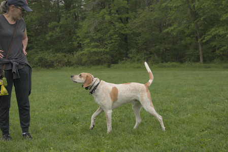 20250520_Dog park__DSC0135_.jpg