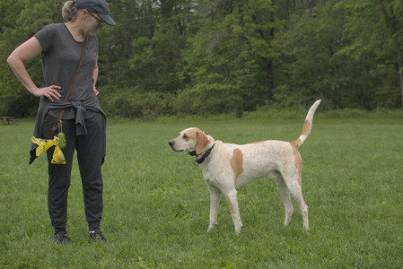 20250520_Dog park__DSC0136_.jpg