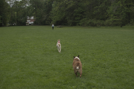 20250520_Dog park__DSC0206_.jpg