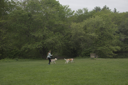 20250520_Dog park__DSC0241_.jpg