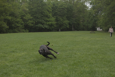20250520_Dog park__DSC0273_.jpg