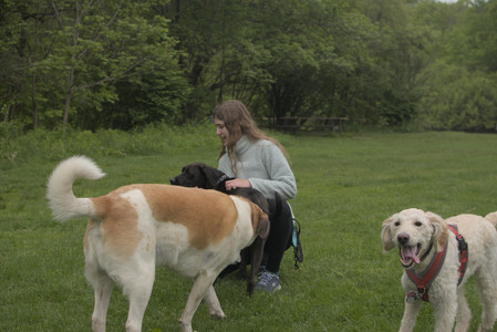 20250520_Dog park__DSC0277_.jpg