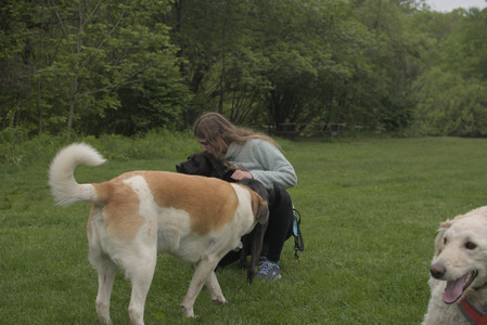 20250520_Dog park__DSC0278_.jpg