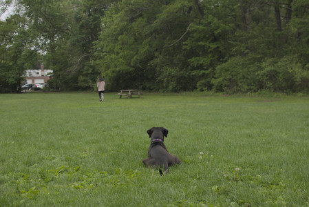 20250520_Dog park__DSC0282_.jpg