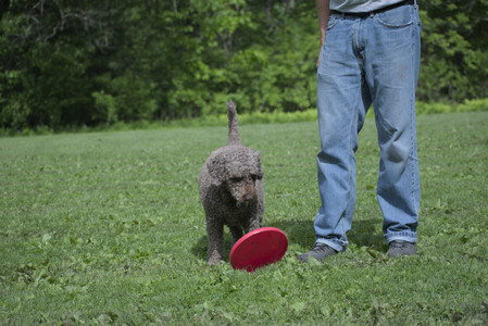 20250524_Dog Park__DSC0086_.jpg