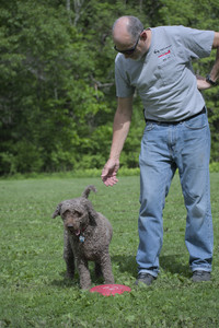 20250524_Dog Park__DSC0087_.jpg